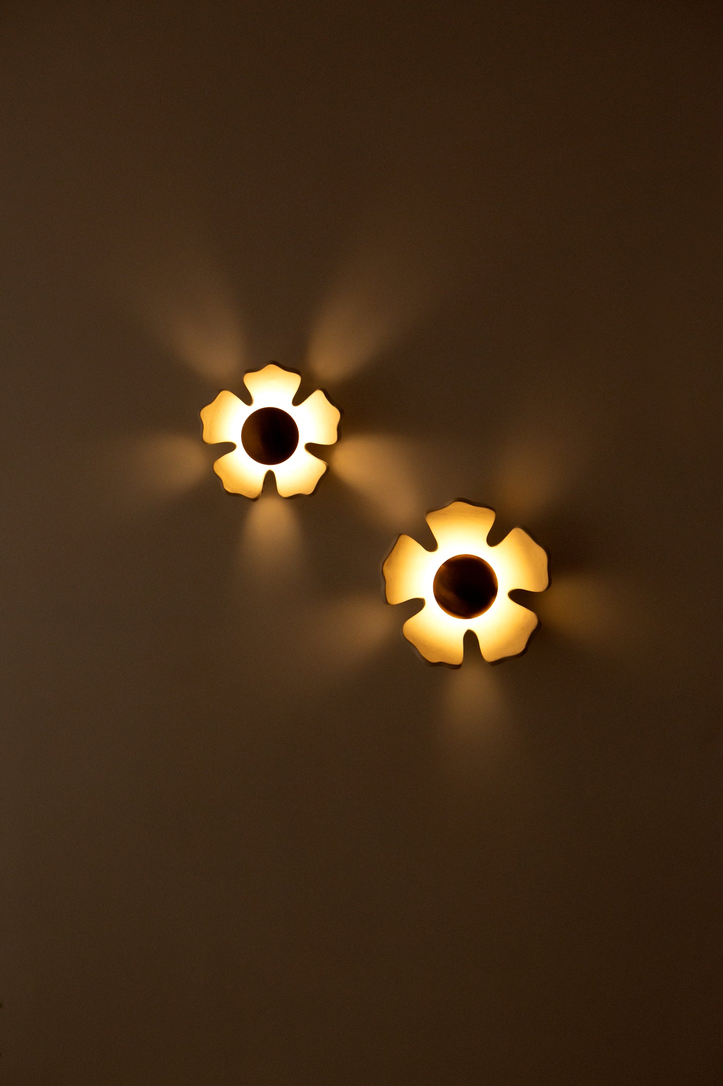 Flower Wall Light