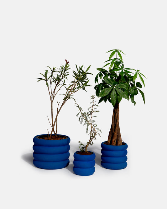 Ceramic Planters