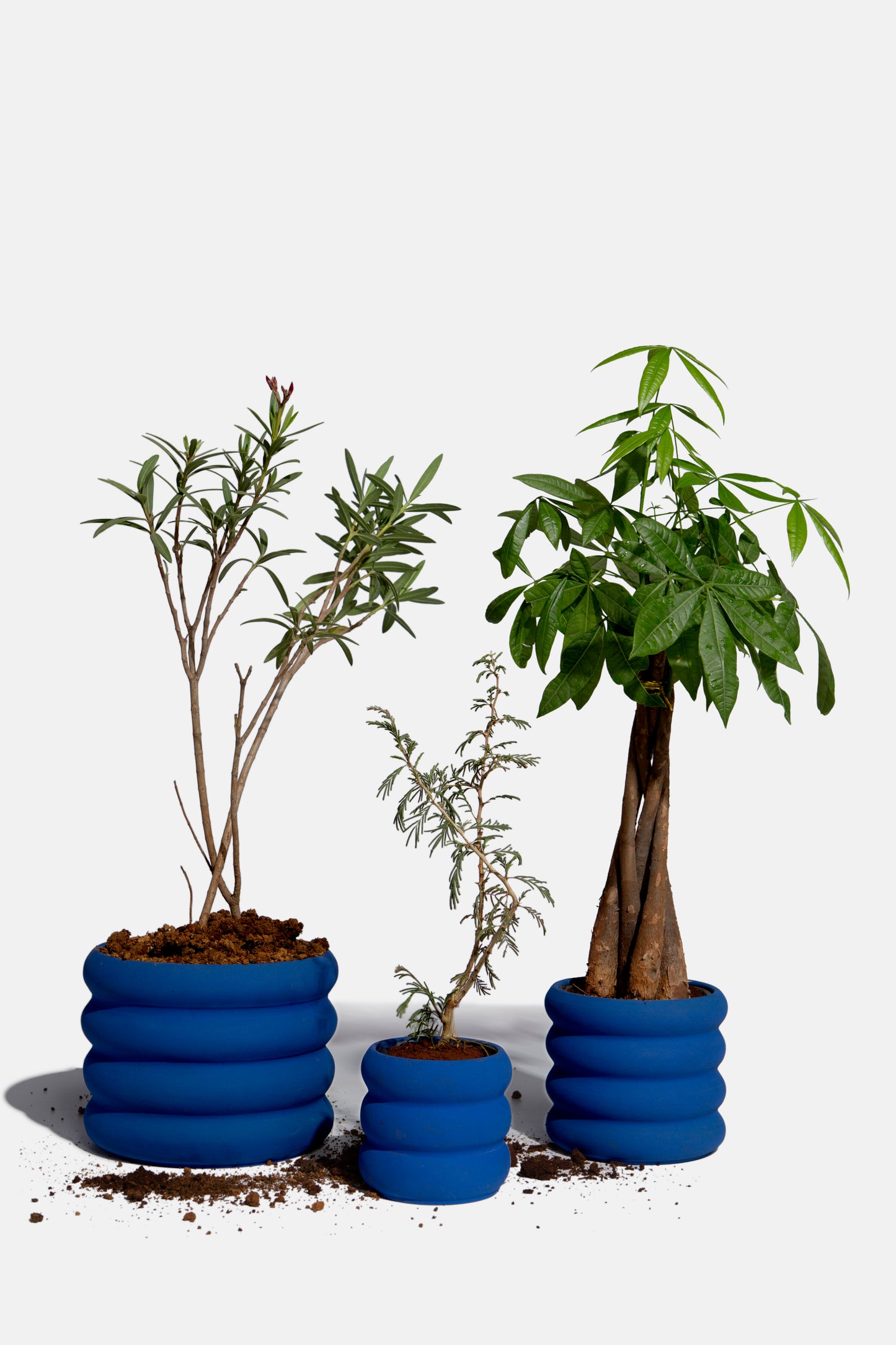 Ceramic Planters