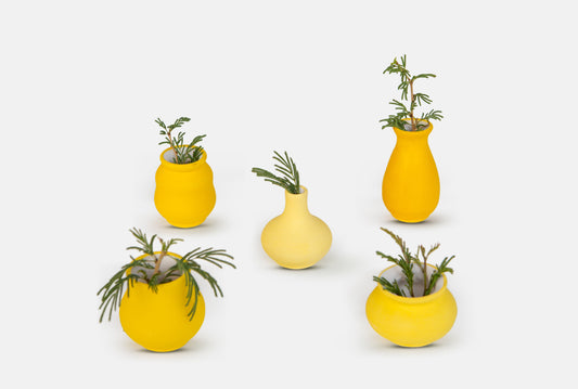 Pot Series in Yellow