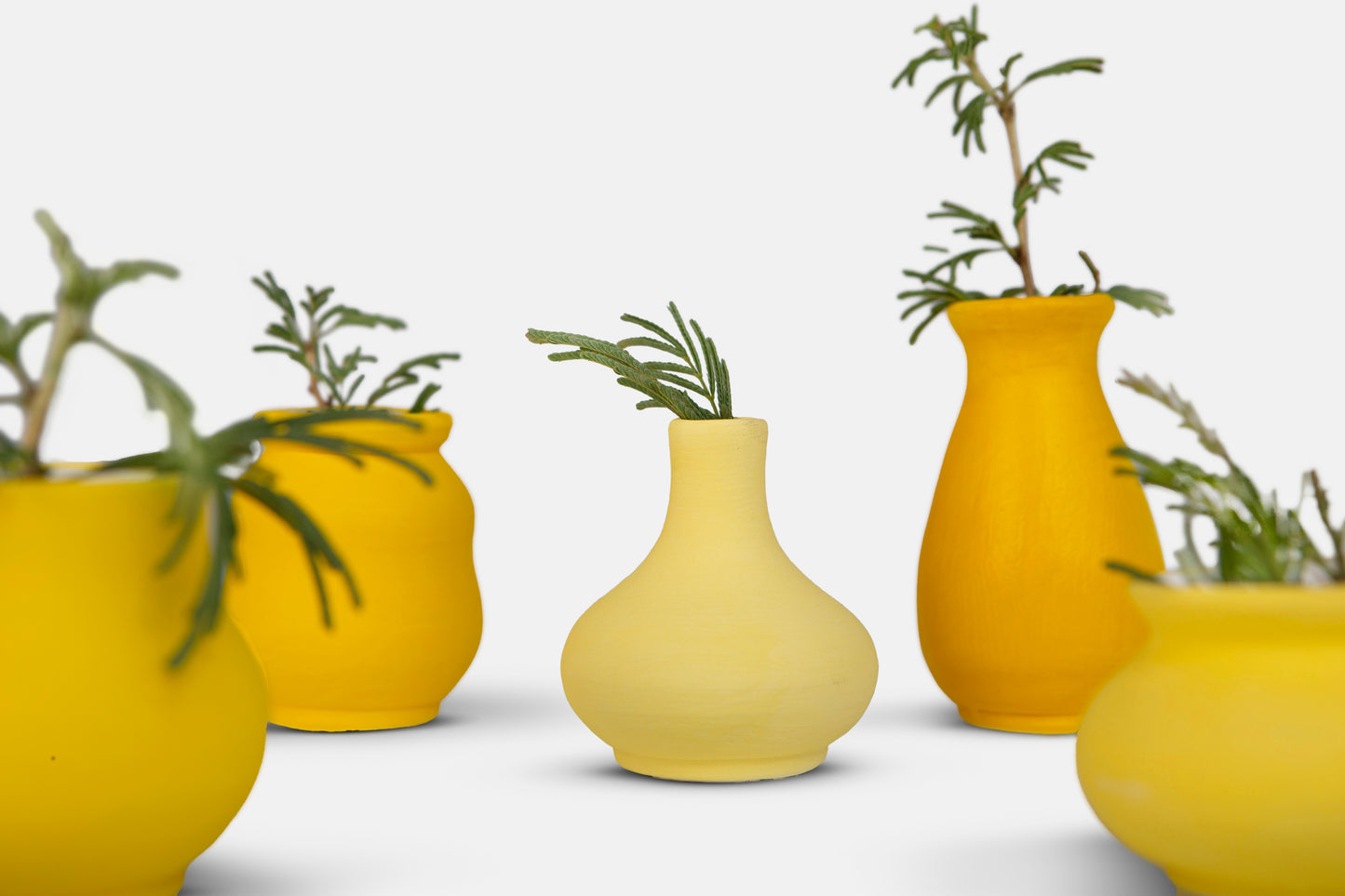 Pot Series in Yellow