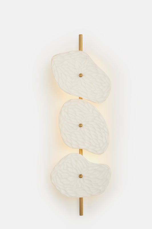 Organic Wall Lamp